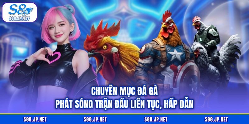 Chuyên mục đá gà phát sóng trận đấu liên tục, hấp dẫn