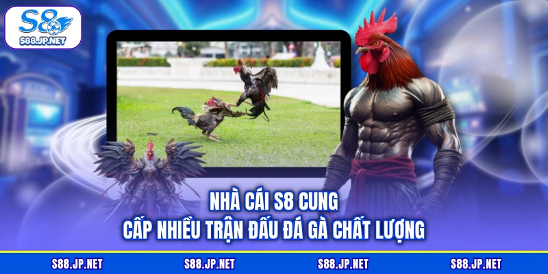 Nhà cái S8 cung cấp nhiều trận đấu đá gà chất lượng